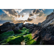 Les grands appareils photo méritent les meilleurs objectifs…