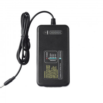 GODOX CHARGEUR C400P POUR...