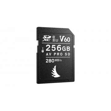 ANGELBIRD CARTE SD AV PRO...