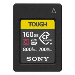 SONY CARTE CFEXPRESS TYPE A R800/W700