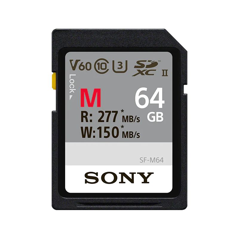 SONY CARTE SDXC UHS-II TYPE M