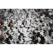 TRAGOPAN FILET DE CAMOUFLAGE