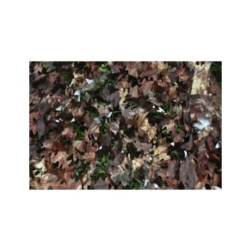 TRAGOPAN FILET DE CAMOUFLAGE