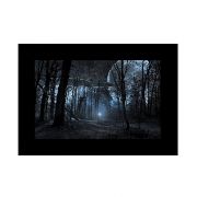 GODOX DIAPOSITIVES DE PROJECTION POUR AK-R21