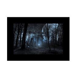 GODOX DIAPOSITIVES DE PROJECTION POUR AK-R21