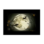 GODOX DIAPOSITIVES DE PROJECTION POUR AK-R21