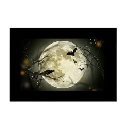 GODOX DIAPOSITIVES DE PROJECTION POUR AK-R21