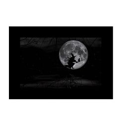 GODOX DIAPOSITIVES DE PROJECTION POUR AK-R21