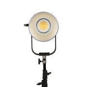 NANLITE TORCHE LED FORZA 500 II