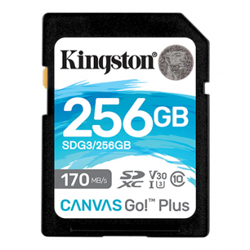 KINGSTON CARTE SD CANVAS GO...