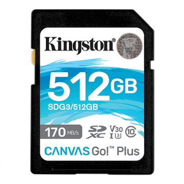 KINGSTON CARTE SD CANVAS GO...