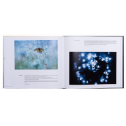 ART BY MACRO INSPIRATIONS MACRO ET PROXI