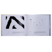 ART BY MACRO INSPIRATIONS MACRO ET PROXI