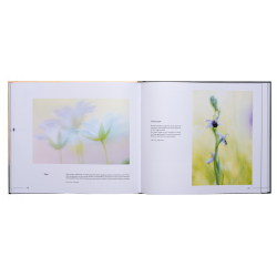 ART BY MACRO INSPIRATIONS MACRO ET PROXI