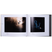 ART BY MACRO INSPIRATIONS MACRO ET PROXI