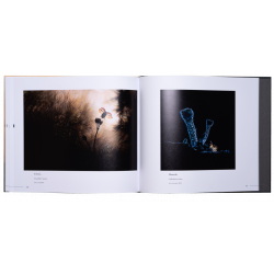 ART BY MACRO INSPIRATIONS MACRO ET PROXI