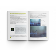 ART BY MACRO L'ART DE LA PROXIPHOTOGRAPHIE