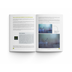 ART BY MACRO L'ART DE LA PROXIPHOTOGRAPHIE