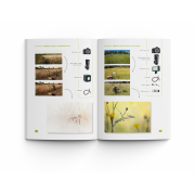 ART BY MACRO L'ART DE LA PROXIPHOTOGRAPHIE