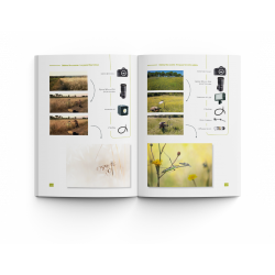 ART BY MACRO L'ART DE LA PROXIPHOTOGRAPHIE