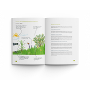 ART BY MACRO L'ART DE LA PROXIPHOTOGRAPHIE