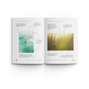 ART BY MACRO L'ART DE LA PROXIPHOTOGRAPHIE