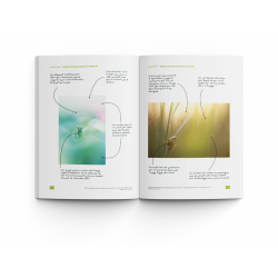 ART BY MACRO L'ART DE LA PROXIPHOTOGRAPHIE