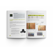 ART BY MACRO L'ART DE LA PROXIPHOTOGRAPHIE