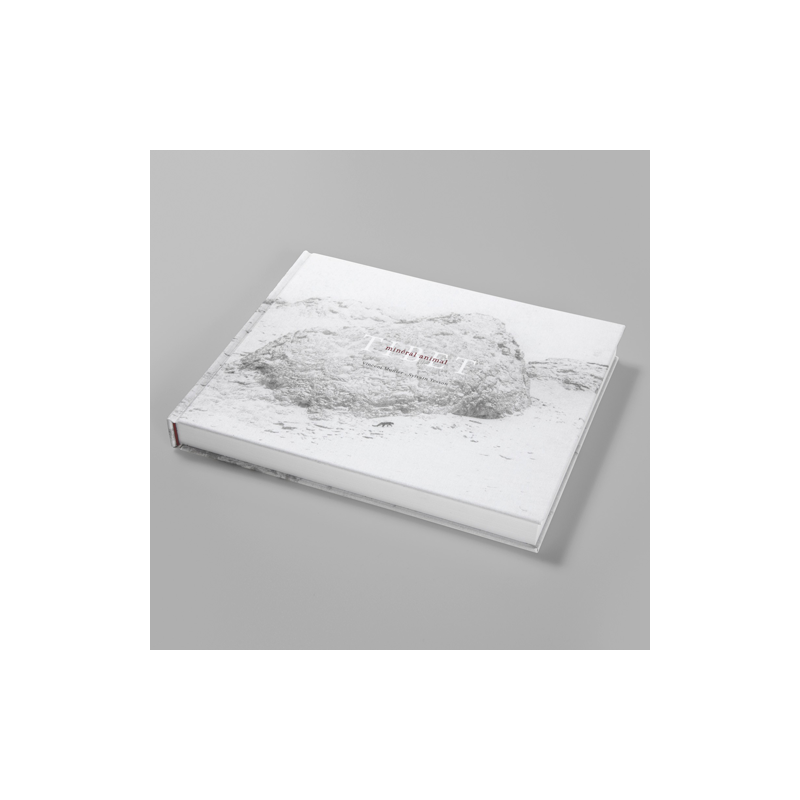 TIBET, MINÉRAL ANIMAL - VINCENT MUNIER