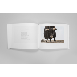 TIBET, MINÉRAL ANIMAL - VINCENT MUNIER