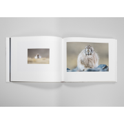 TIBET, MINÉRAL ANIMAL - VINCENT MUNIER