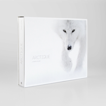 ARCTIQUE - VINCENT MUNIER