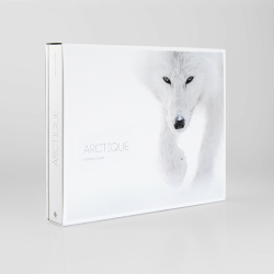 ARCTIQUE - VINCENT MUNIER