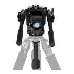 SIRUI ROTULE VIDÉO FLUIDE DEMI-BOULE 75MM BCH-20