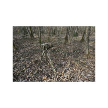 TRAGOPAN MANCHON CAMO 3D...