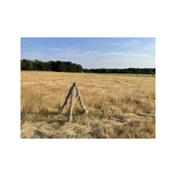 TRAGOPAN LOT DE 3 MANCHONS...