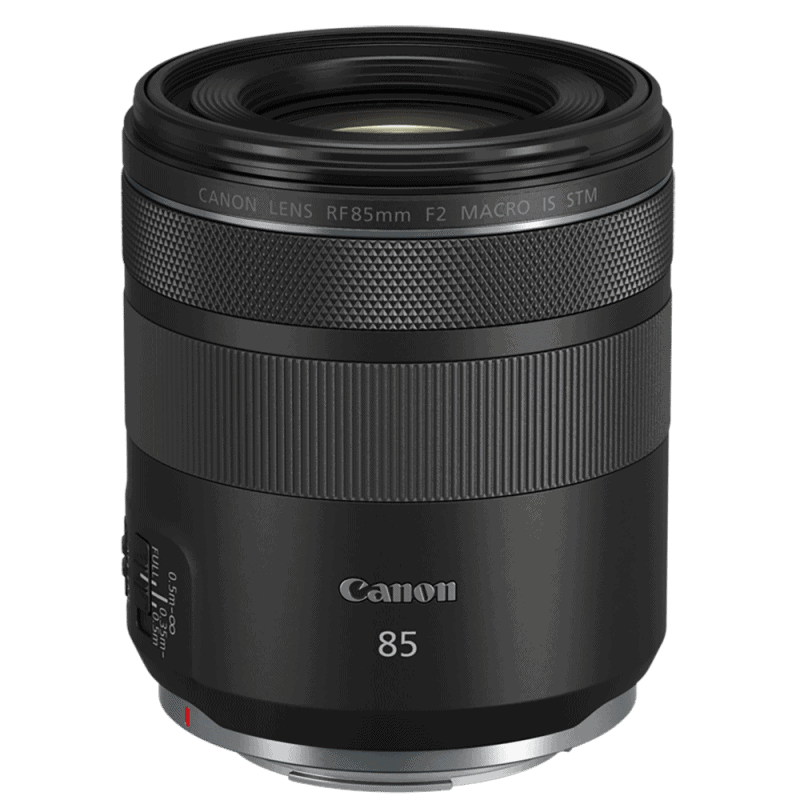 CANON RF 85/2 MACRO IS STM