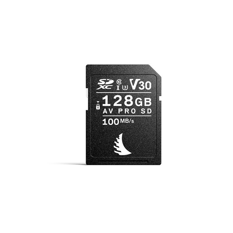 ANGELBIRD CARTE SD AV PRO V30