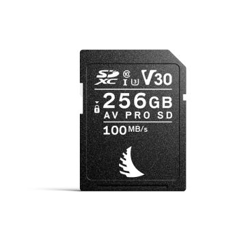 ANGELBIRD CARTE SD AV PRO V30