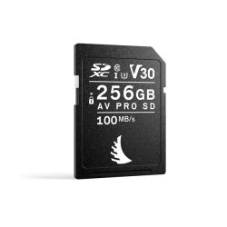 ANGELBIRD CARTE SD AV PRO V30