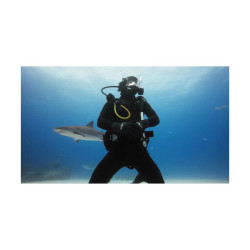 GOPRO BOÎTIER DE PLONGÉE POUR HERO11 BLACK MINI (60 M)