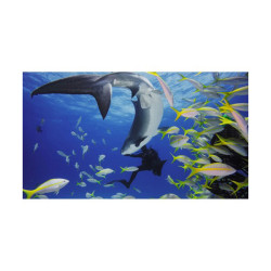 GOPRO BOÎTIER DE PLONGÉE POUR HERO11 BLACK MINI (60 M)