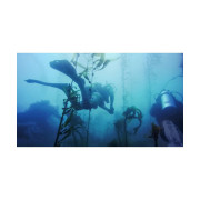 GOPRO BOÎTIER DE PLONGÉE POUR HERO11 BLACK MINI (60 M)