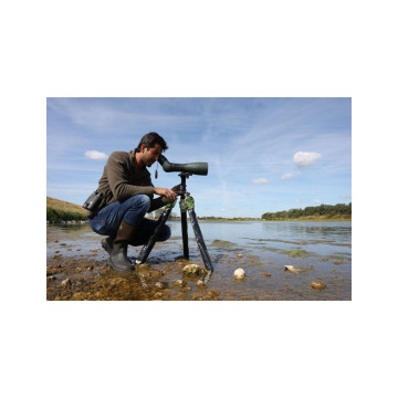 TRAGOPAN CHAUSSETTE...