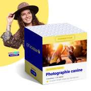 ALEXANDRA DUBOIS FORMATION PHOTOGRAPHIE CANINE DE A à Z