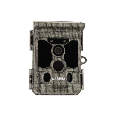 CARUBA PIEGE PHOTO RACCOON...