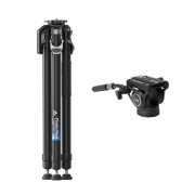 YC ONION TREPIED CARBONE PINETA PEAK