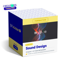 LUMETRY FORMATION MODULE SOUND DESIGN SUR PREMIERE PRO