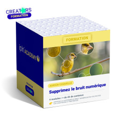 ADRIEN COQUELLE FORMATION SUPPRIMEZ LE BRUIT NUMÉRIQUE