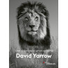 EYROLLES LIVRE DAVID YARROW, UNE...